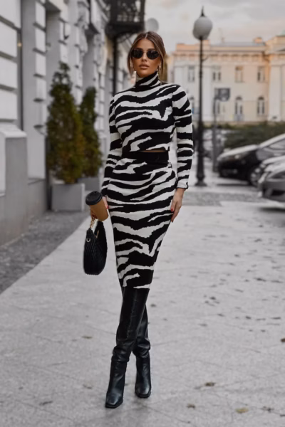 SET ZEBRA LB 57 (1)