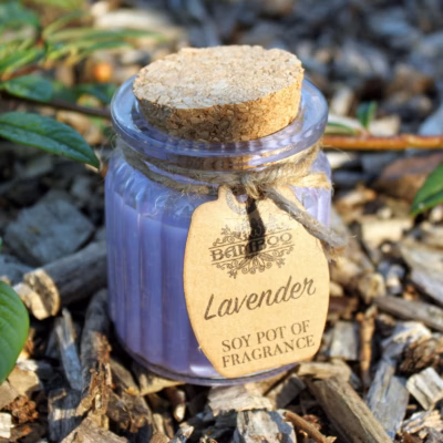 Lavender Soy Pot of Fragrance Candles SoyP-01