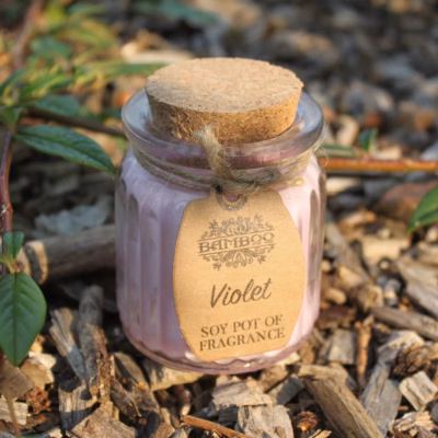 Violet Soy Pot of Fragrance Candles SoyP-04