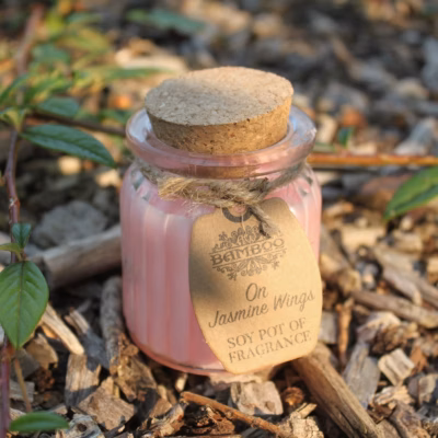 On Jasmine Wings Soy Pot of Fragrance Candles SoyP-08