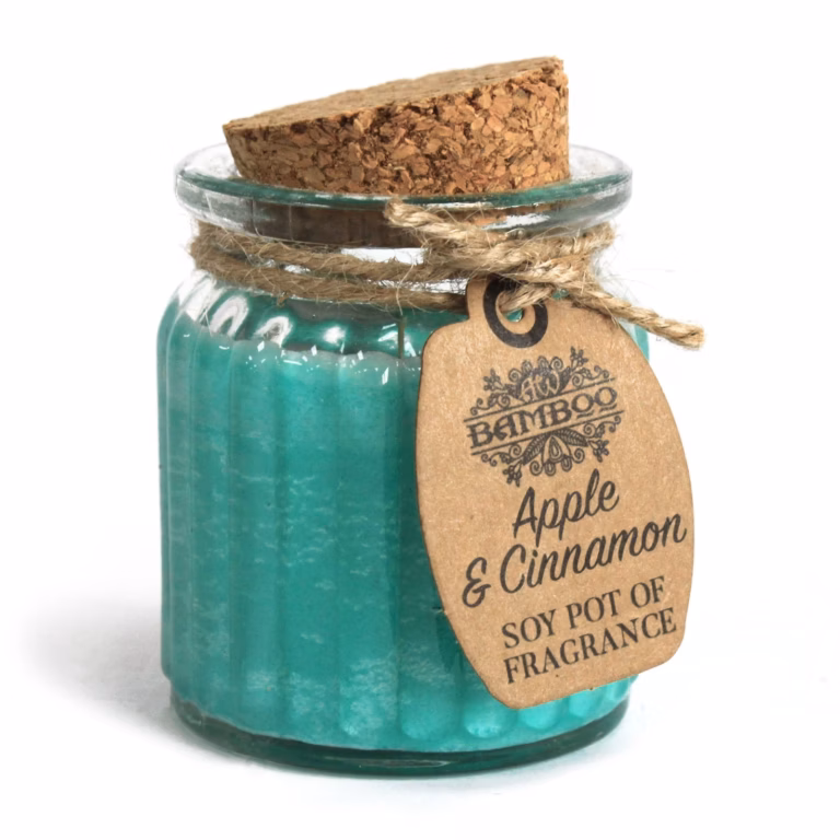 Apple & Cinnamon Soy Pot of Fragrance Candles SoyP-11