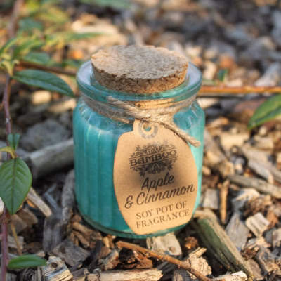 Apple & Cinnamon Soy Pot of Fragrance Candles SoyP-11
