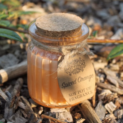 Spiced Orange Soy Pot of Fragrance Candles SoyP-14