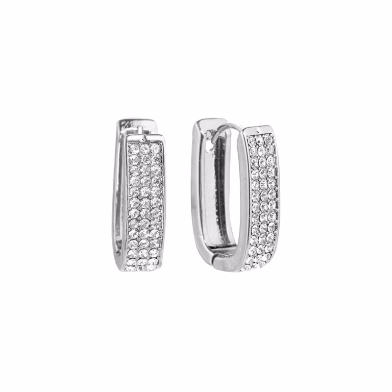 EARRINGS DTL-18